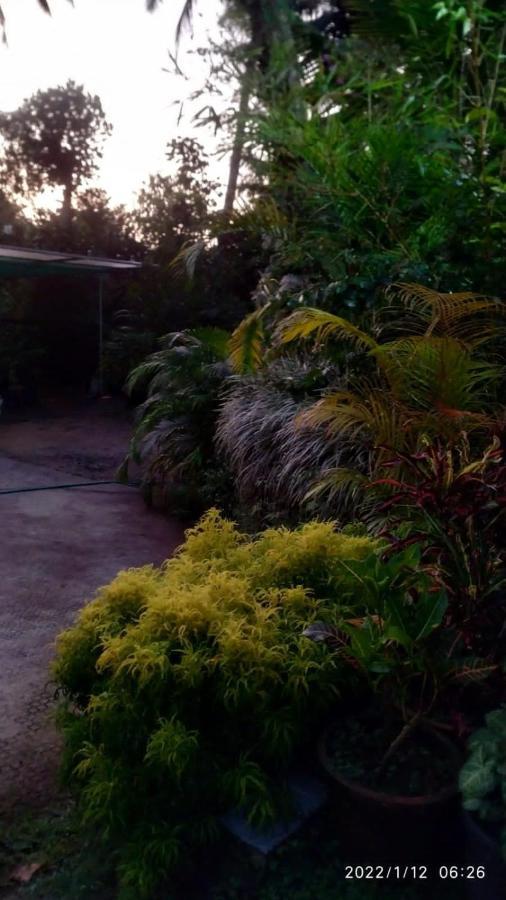 Fab Valley Homestay Munnar Dış mekan fotoğraf