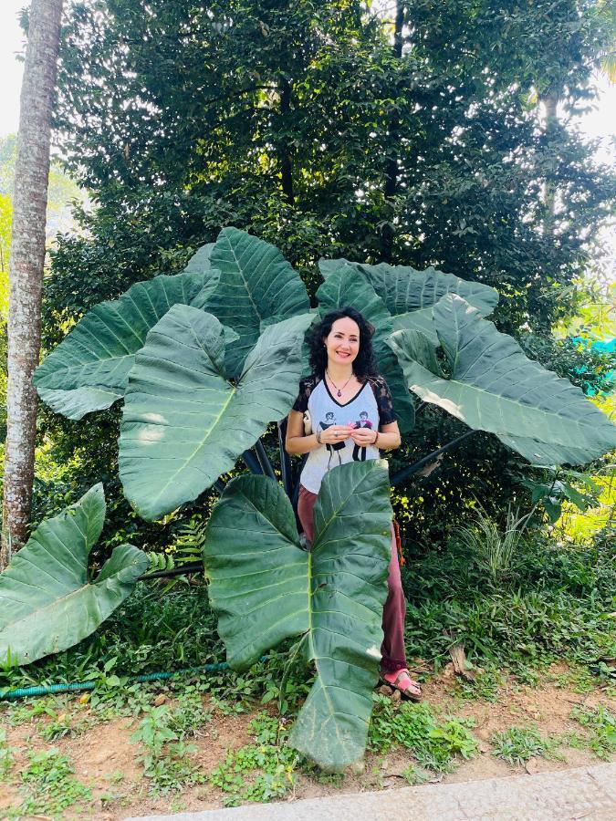 Fab Valley Homestay Munnar Dış mekan fotoğraf