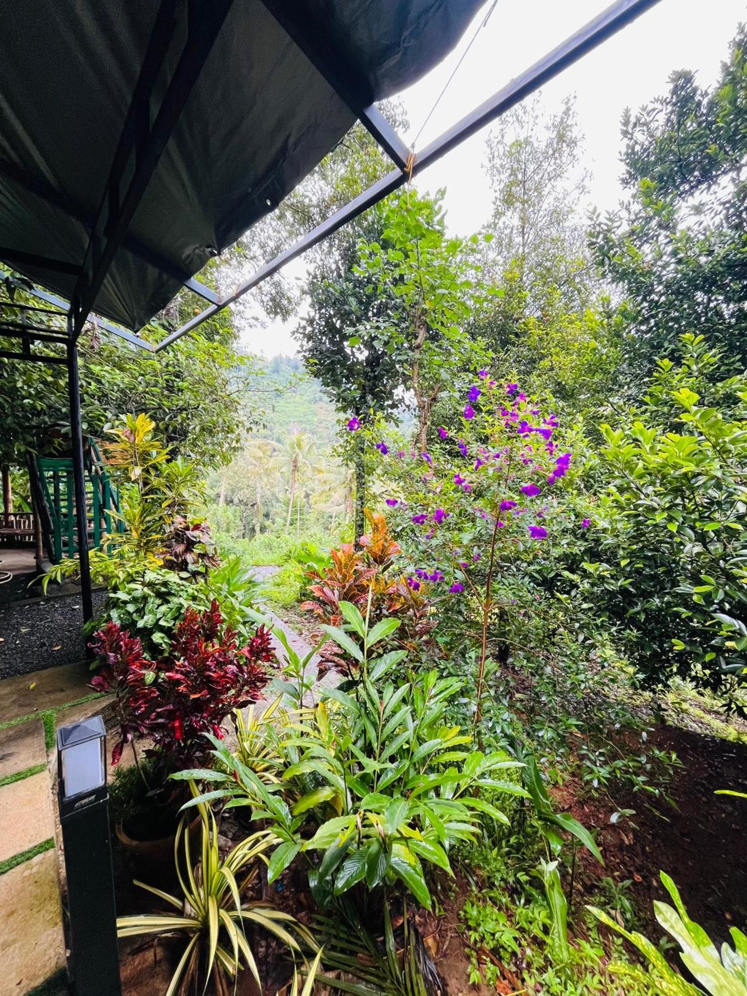 Fab Valley Homestay Munnar Dış mekan fotoğraf