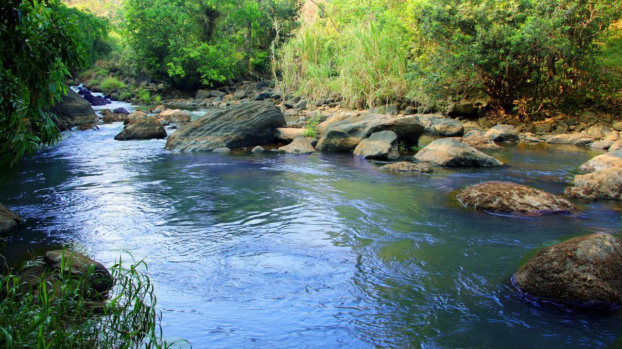 Fab Valley Homestay Munnar Dış mekan fotoğraf