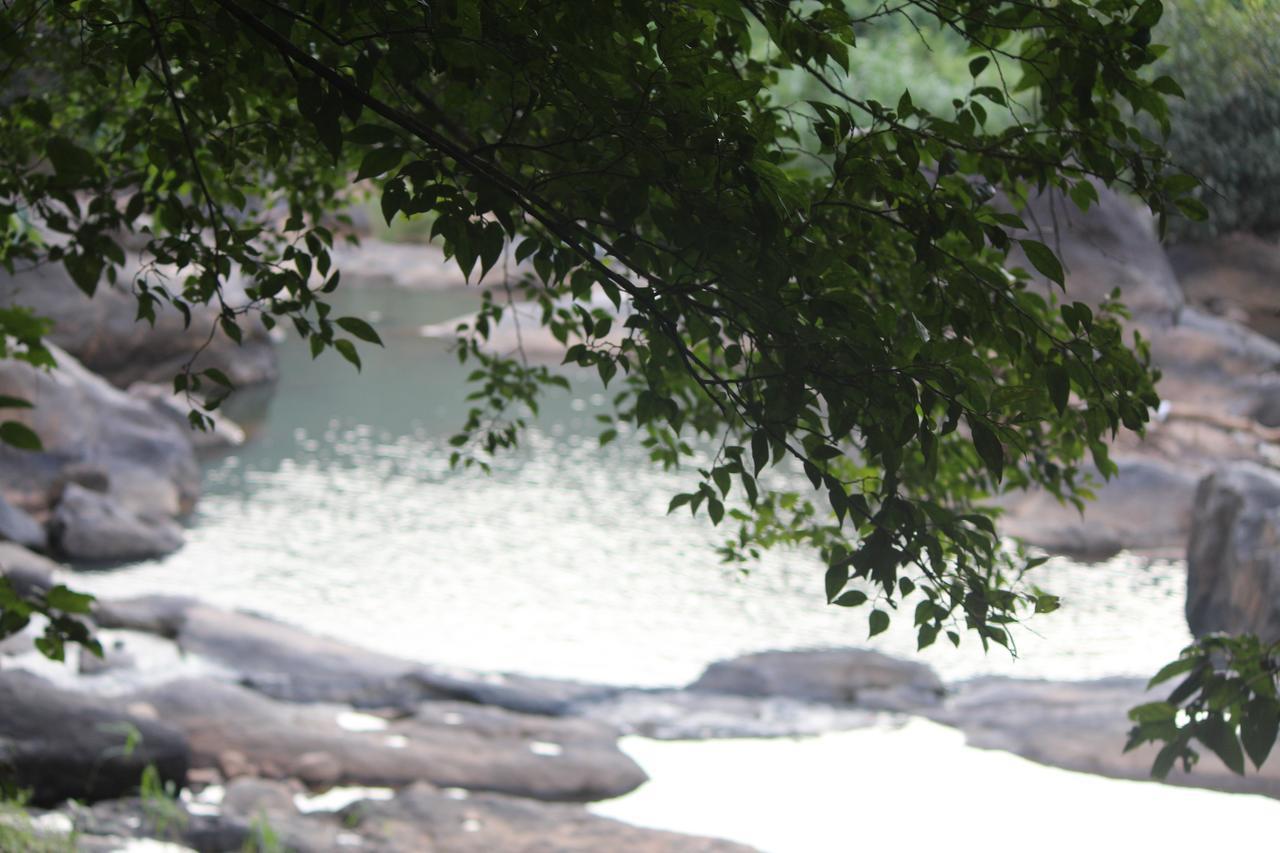 Fab Valley Homestay Munnar Dış mekan fotoğraf